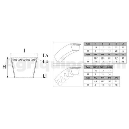 Correa trapezoidal dentada | Steyr 2