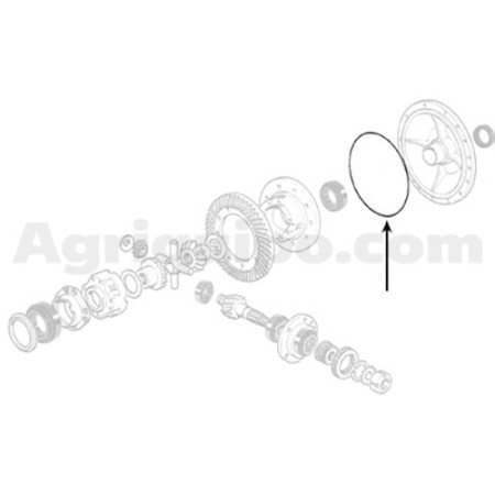 Junta tórica | Massey Ferguson 2
