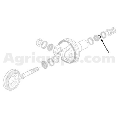 Junta tórica | Massey Ferguson 2